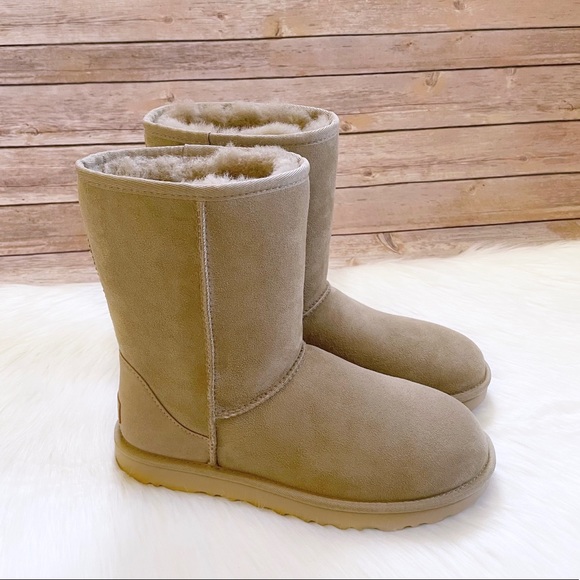 UGG Shoes Ugg Classic Short Ii Boots In Mustard Seed Poshmark